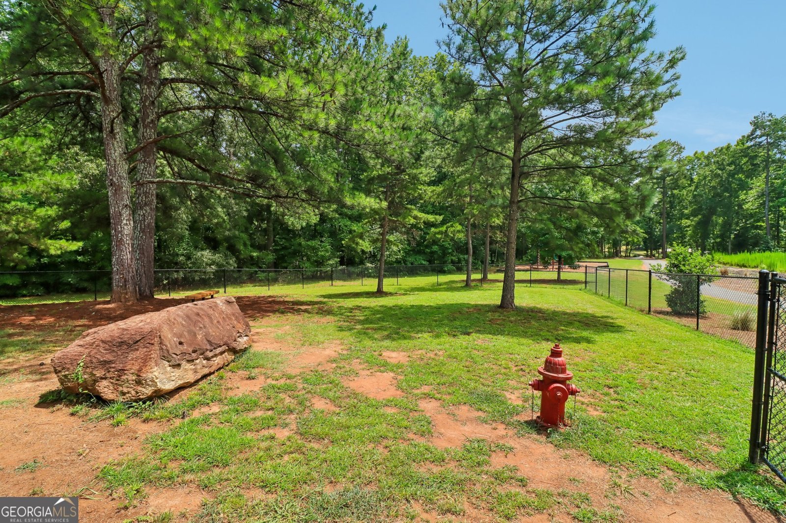 117 Mead Court Hoschton - Photo 73