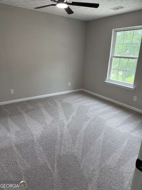 528 Lazy River Lane Woodstock - Photo 30