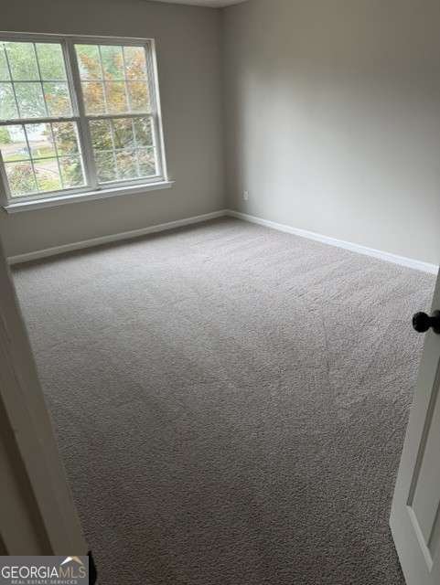 528 Lazy River Lane Woodstock - Photo 44