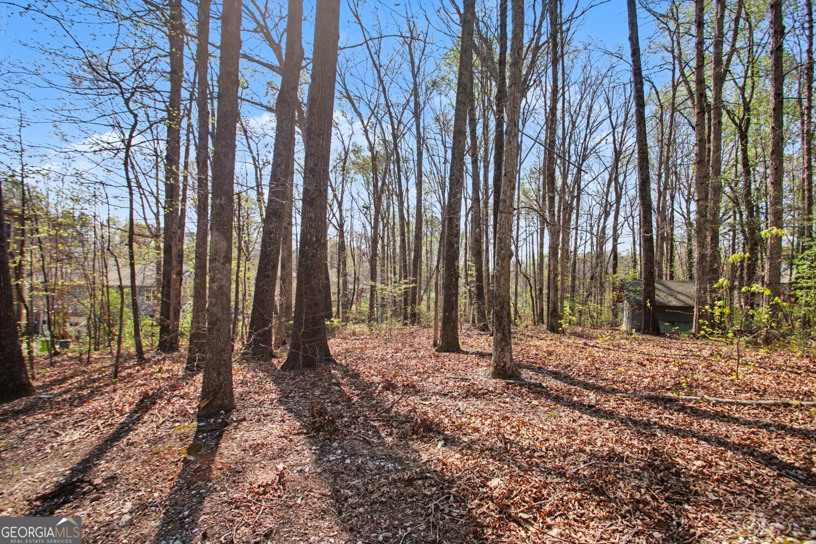 1943 Oakleaf Court Lithia Springs - Photo 14