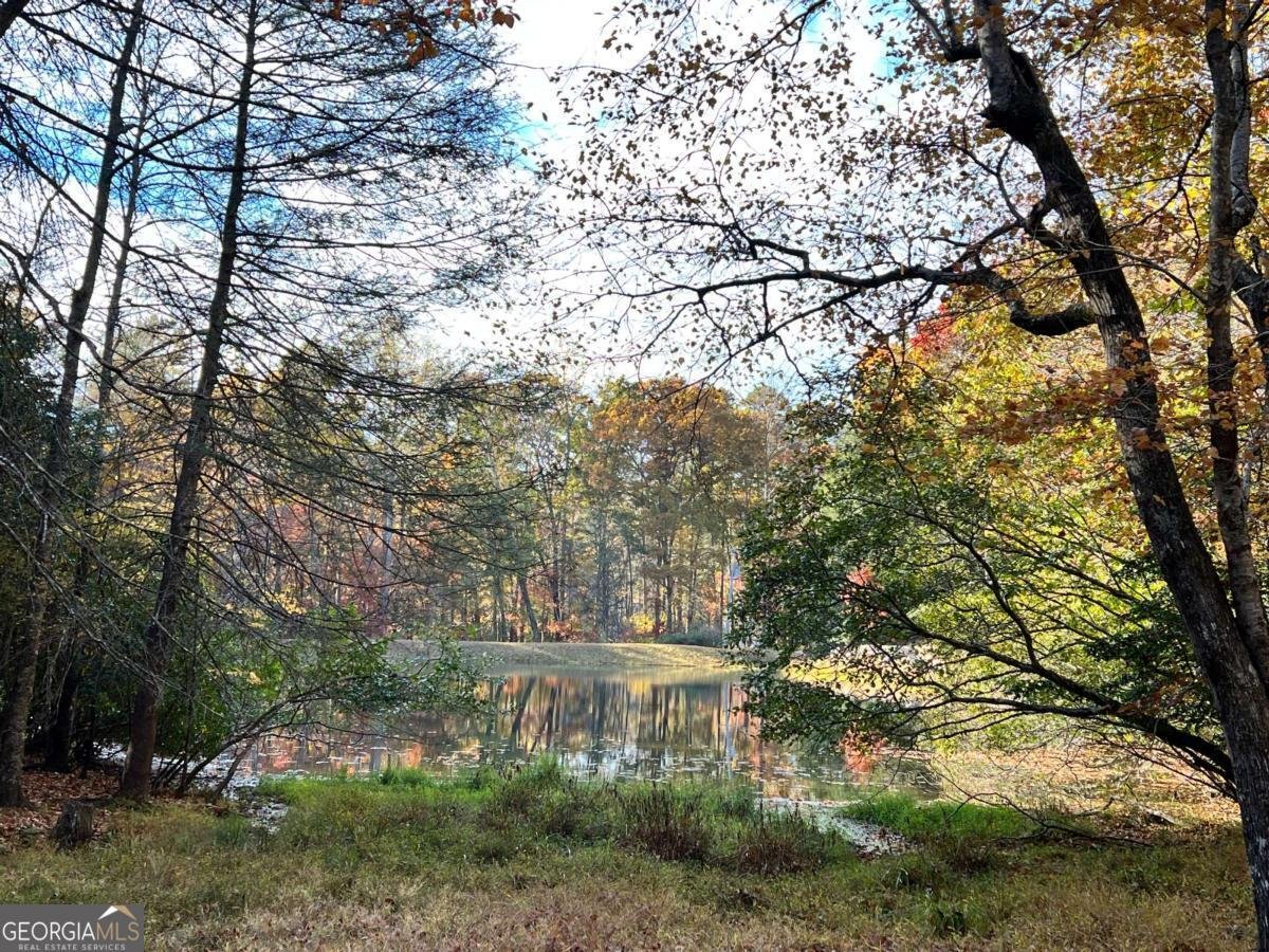 23 Briar Cove Lane Morganton - Photo 34