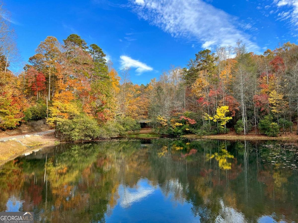 23 Briar Cove Lane Morganton - Photo 35