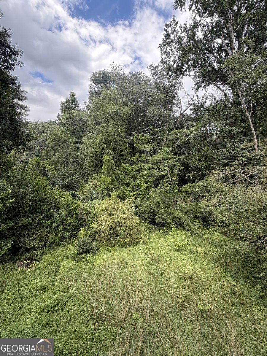 4110 Emerald Lake Drive Decatur - Photo 18