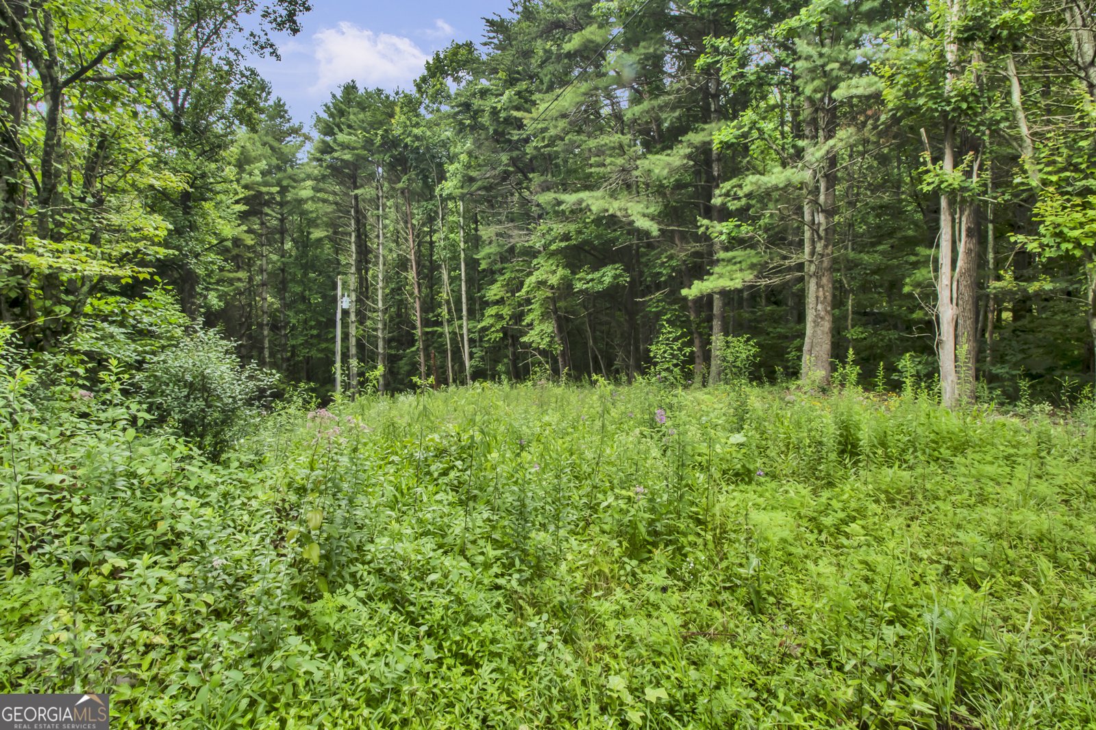 265 Holly Hill Road Suches - Photo 8