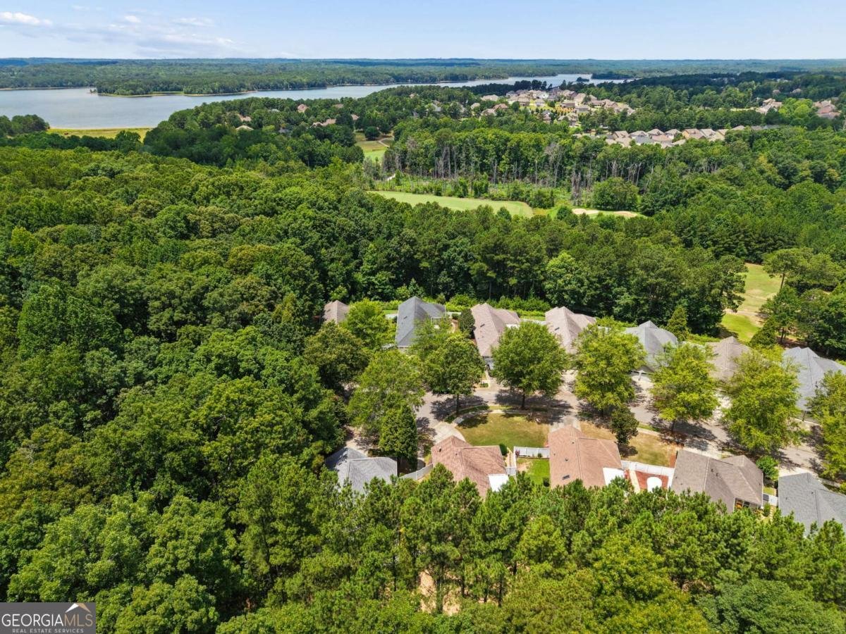 162 Cottage Club Drive Locust Grove - Photo 30