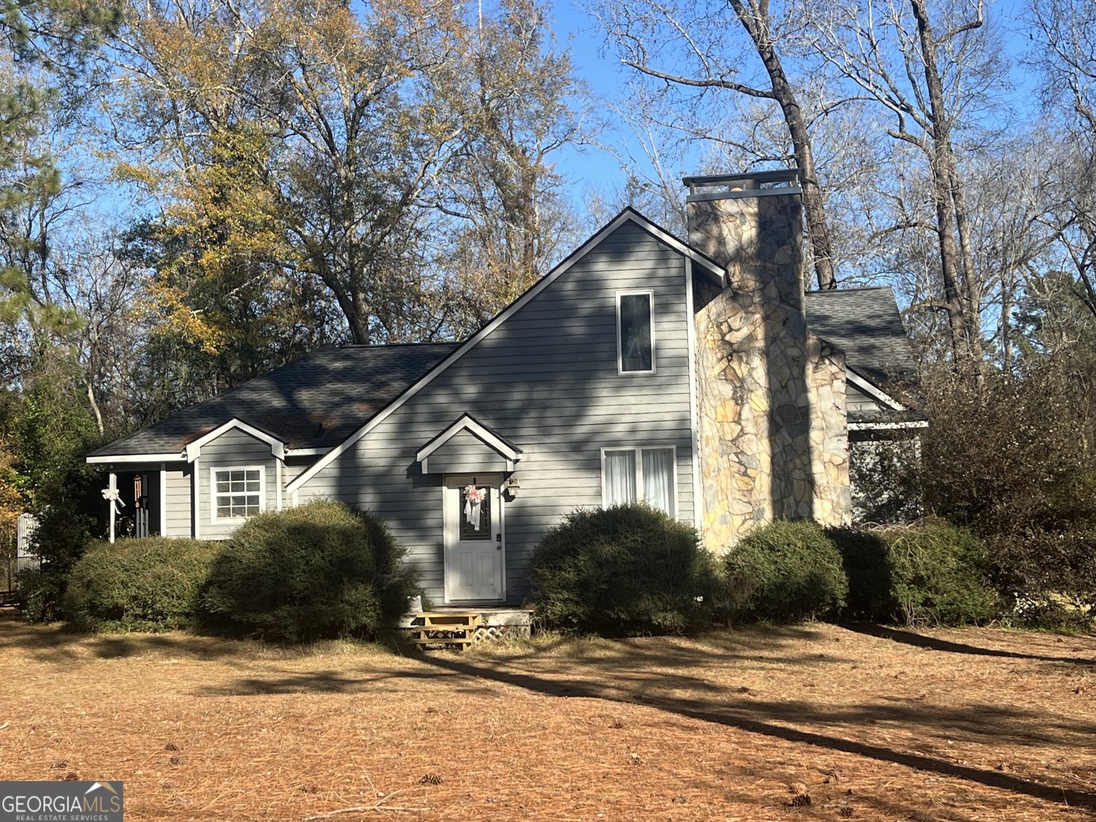 114 Miles Road Cochran - main photo