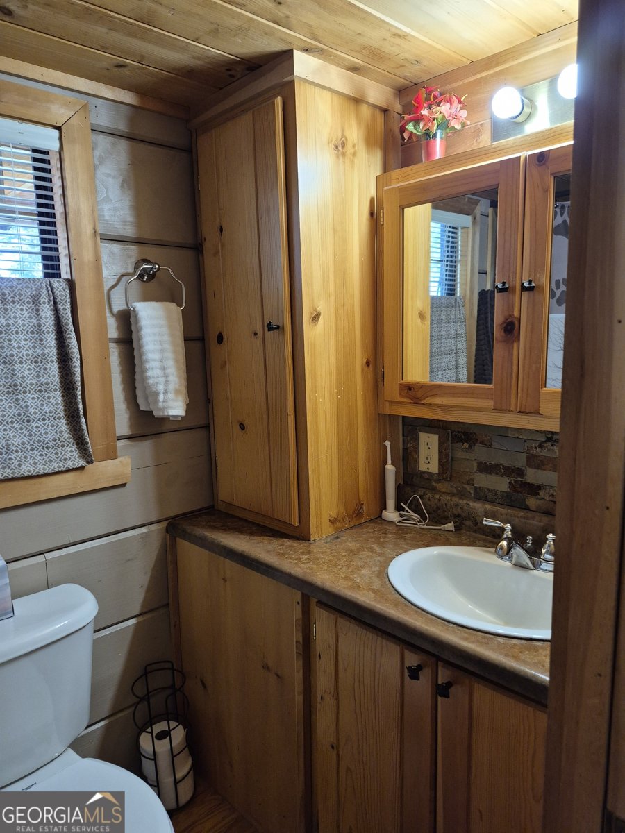 40 Wilderness Ct. Blairsville - Photo 13
