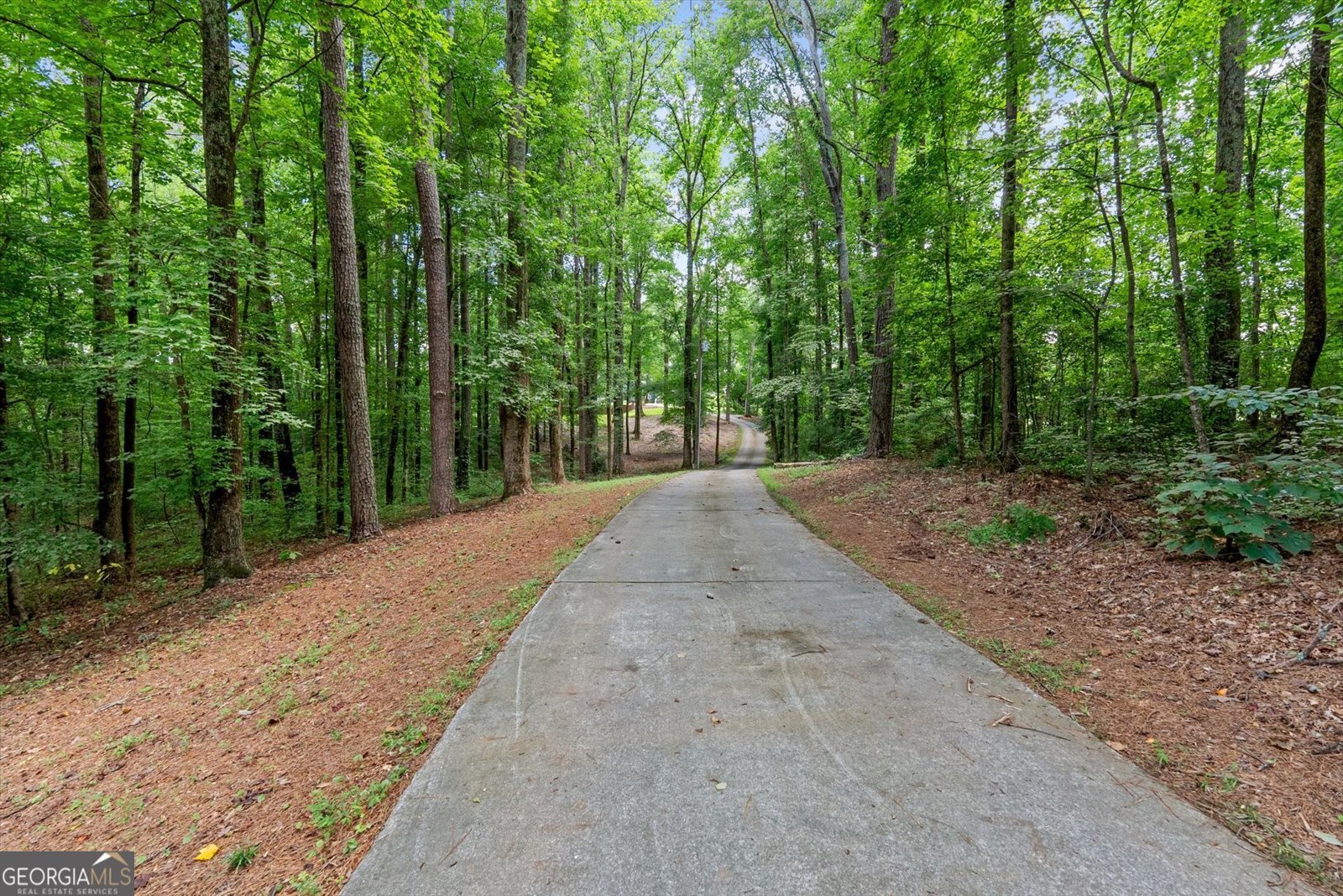 971 Cown Road Villa Rica - Photo 62