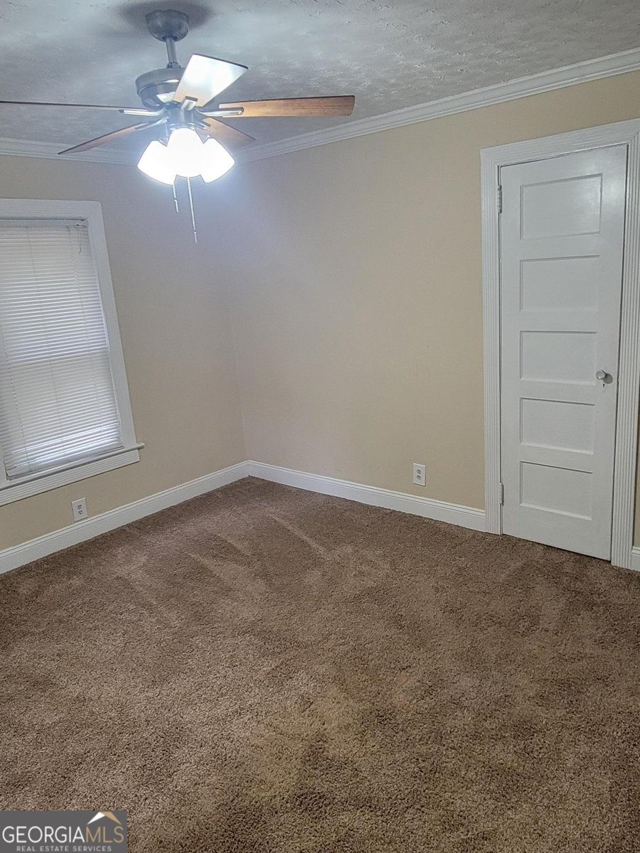 279 Ellison Road Tyrone - Photo 15