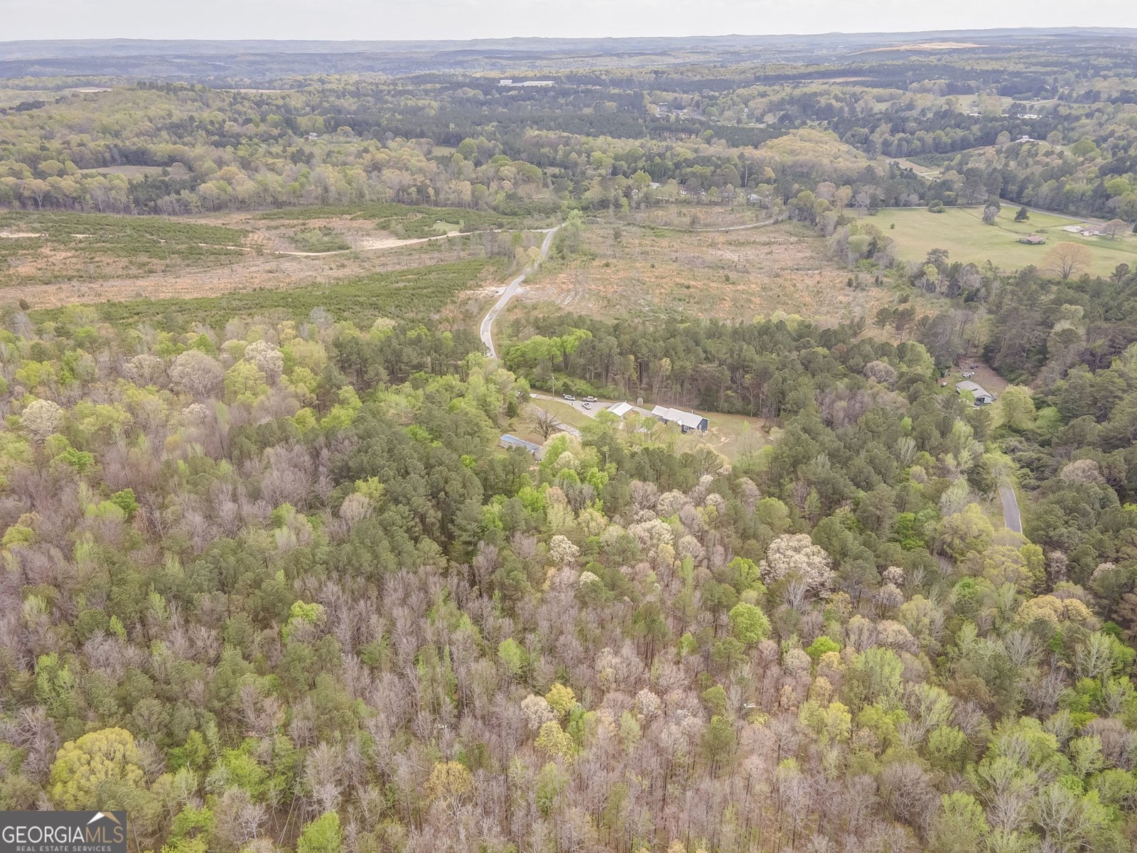 221 A David Price Road Cedartown - Photo 58