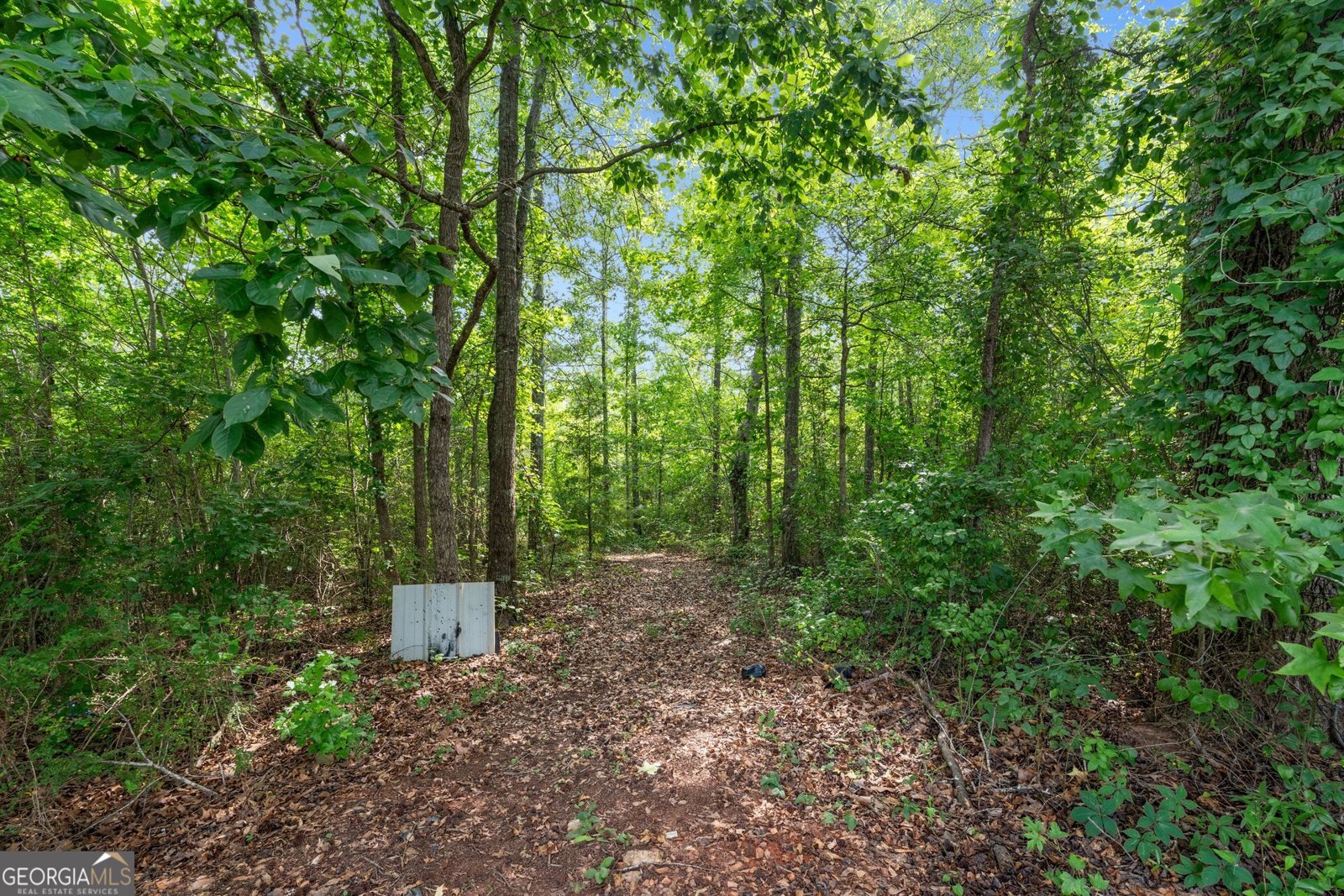 1374 Clem Lowell Road Carrollton - Photo 15
