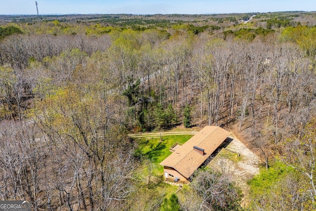 1121 Highway 27 Bremen - Photo 61