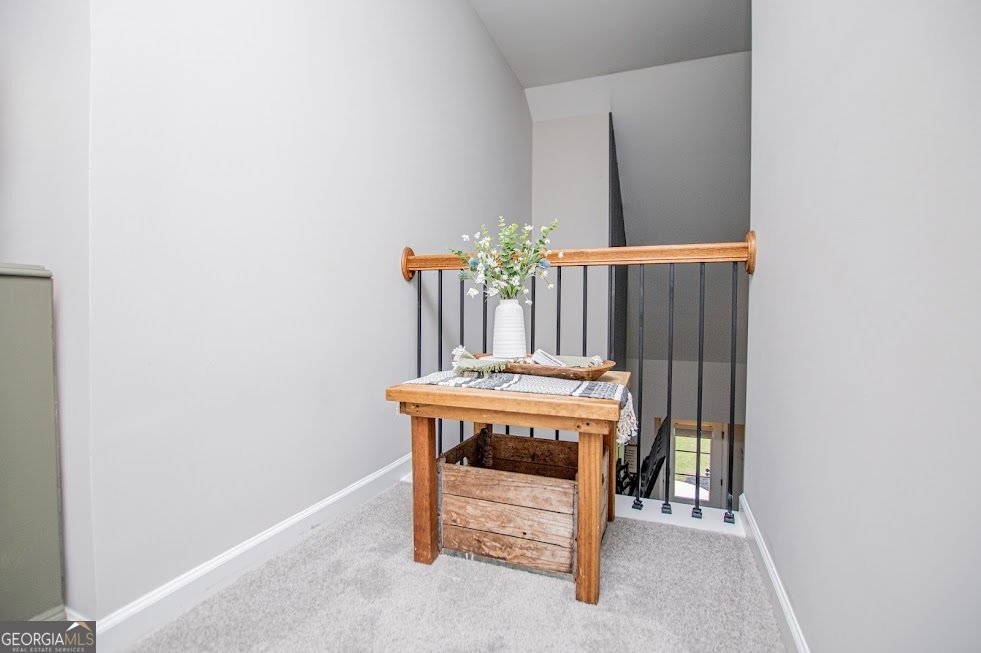 125 Cedar Park Way Carrollton - Photo 47