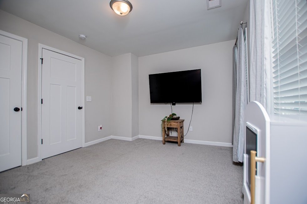 125 Cedar Park Way Carrollton - Photo 59