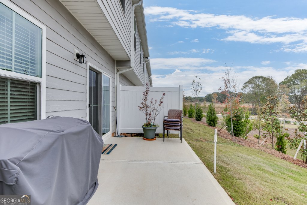 148 Salt Lake Lane Hoschton - Photo 38