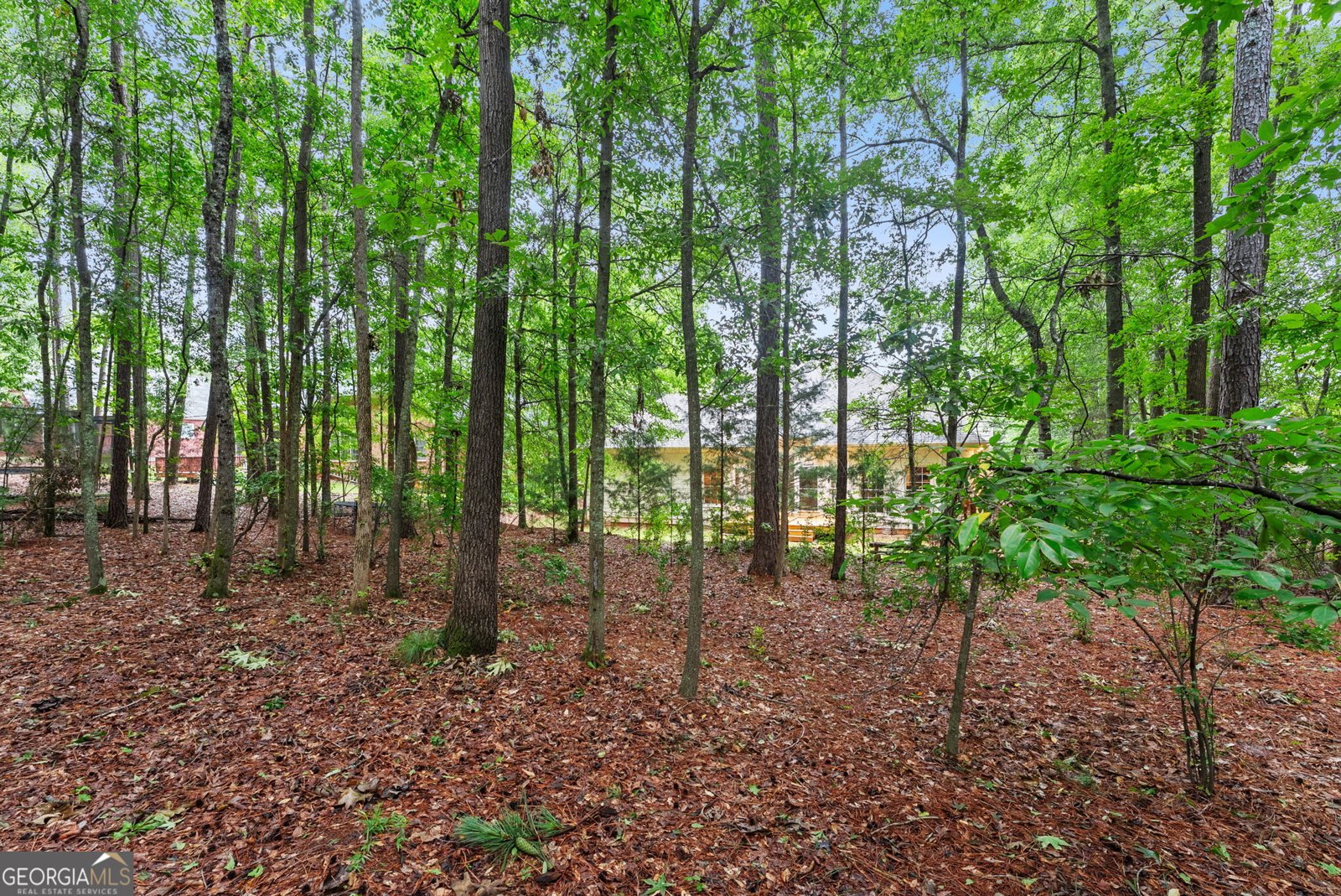 312 Ashbrook Lane Athens - Photo 42