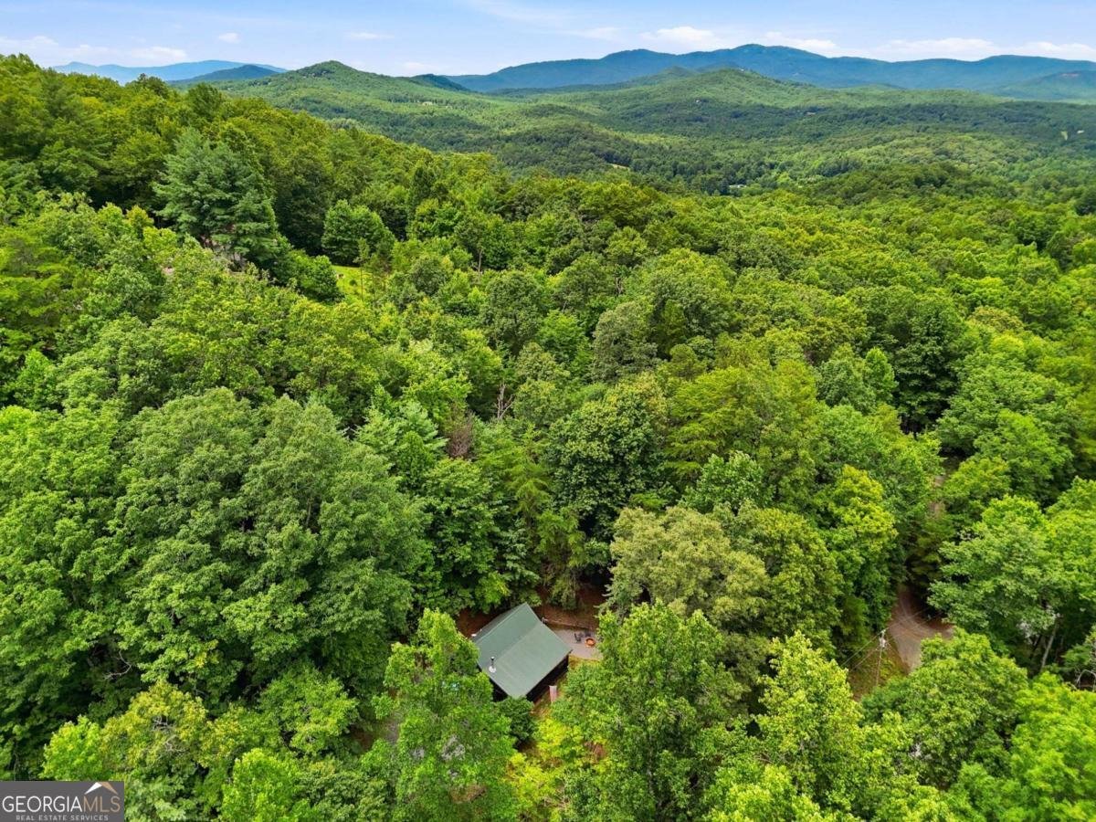 220 Oak Loop Mineral Bluff - Photo 38