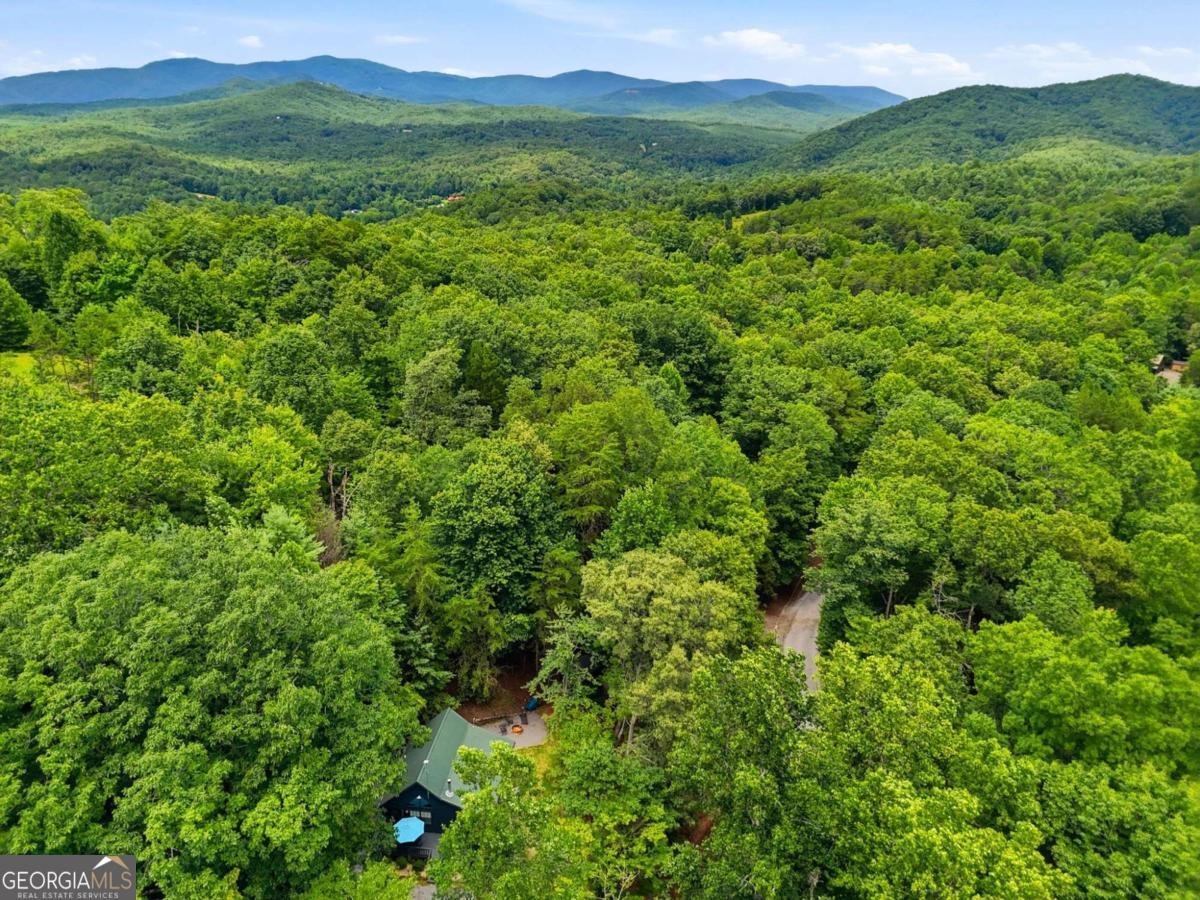 220 Oak Loop Mineral Bluff - Photo 39