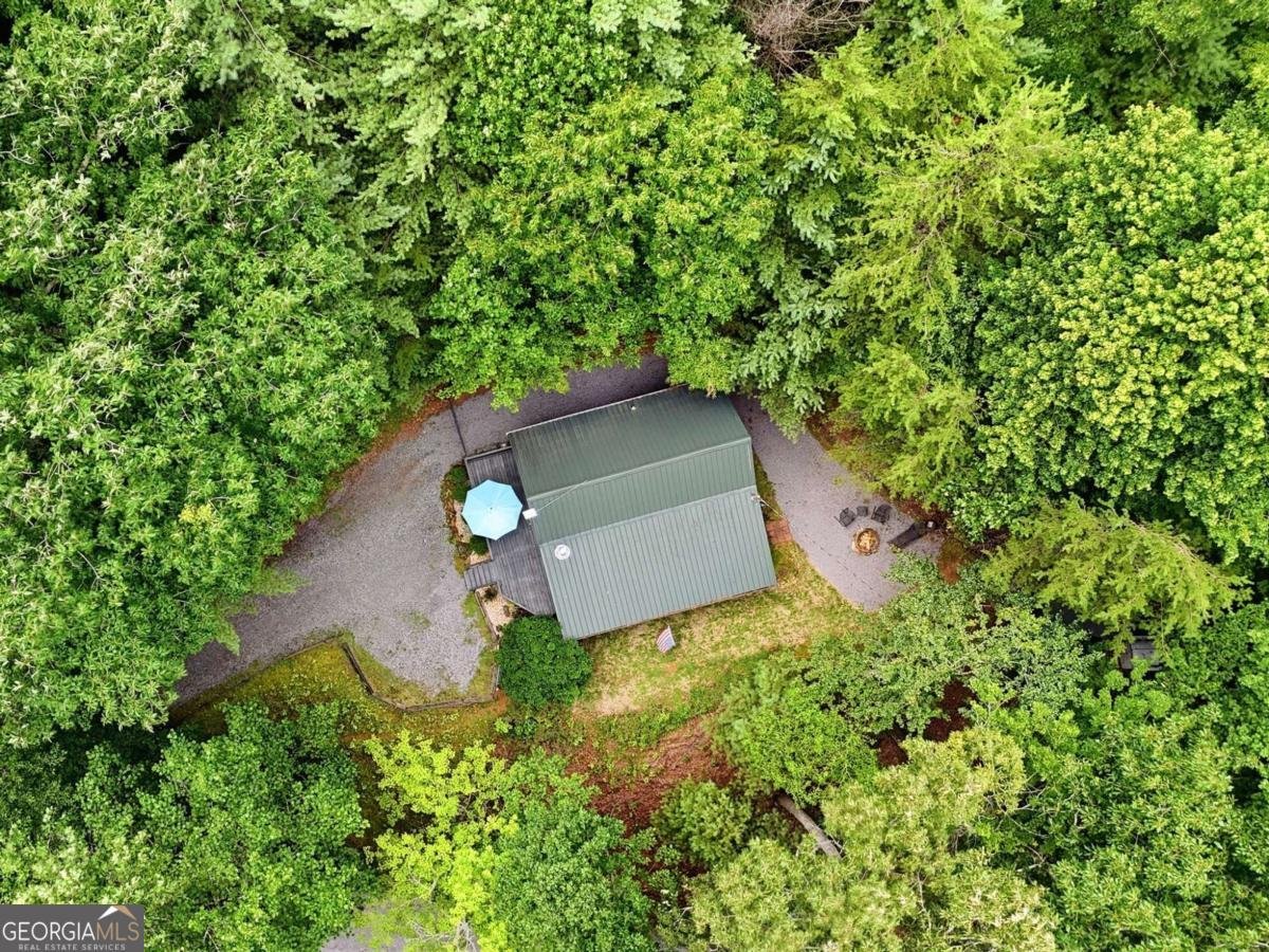 220 Oak Loop Mineral Bluff - Photo 41