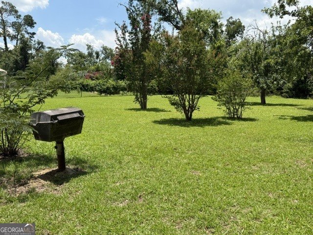 Photo 4