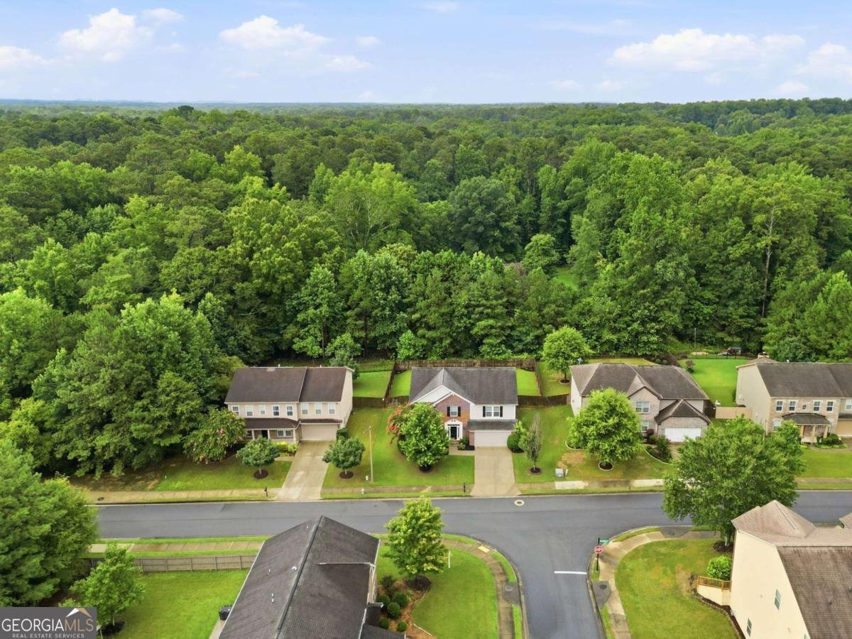 3965 Hemingway Drive Powder Springs - Photo 53