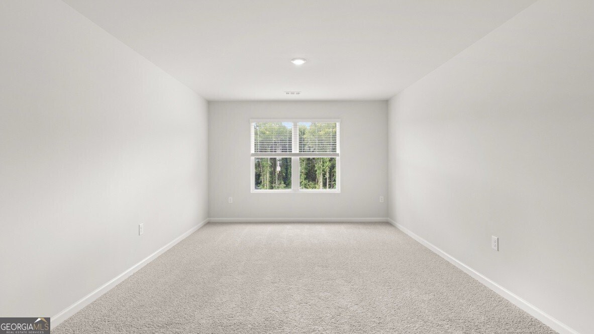 385 Grandview Drive Dawsonville - Photo 19