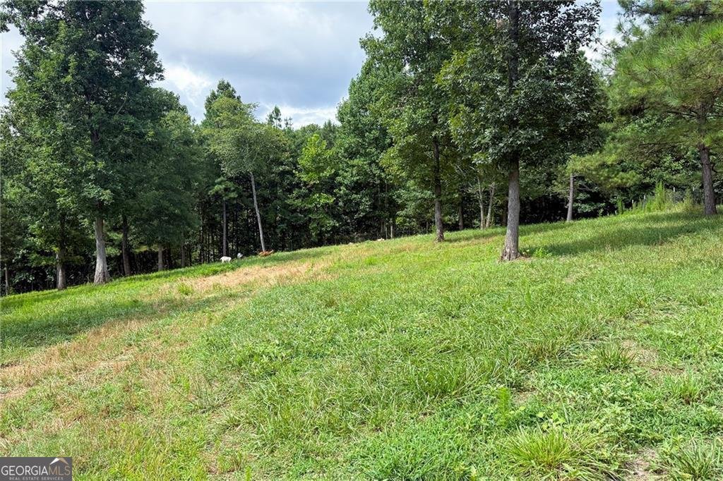 851 Lacy Road Canton - Photo 51