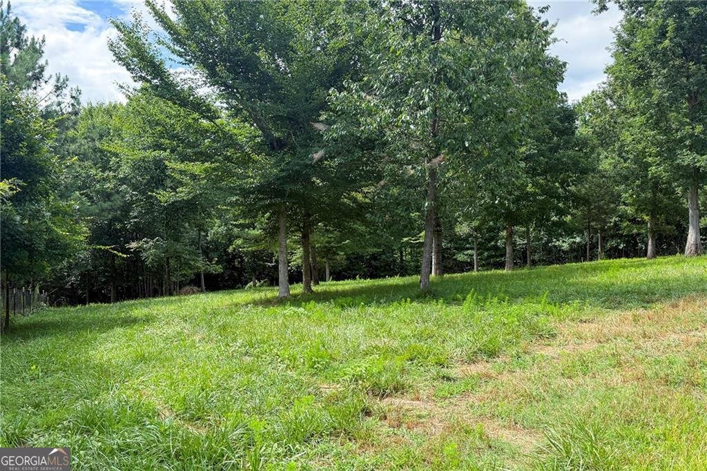 851 Lacy Road Canton - Photo 52