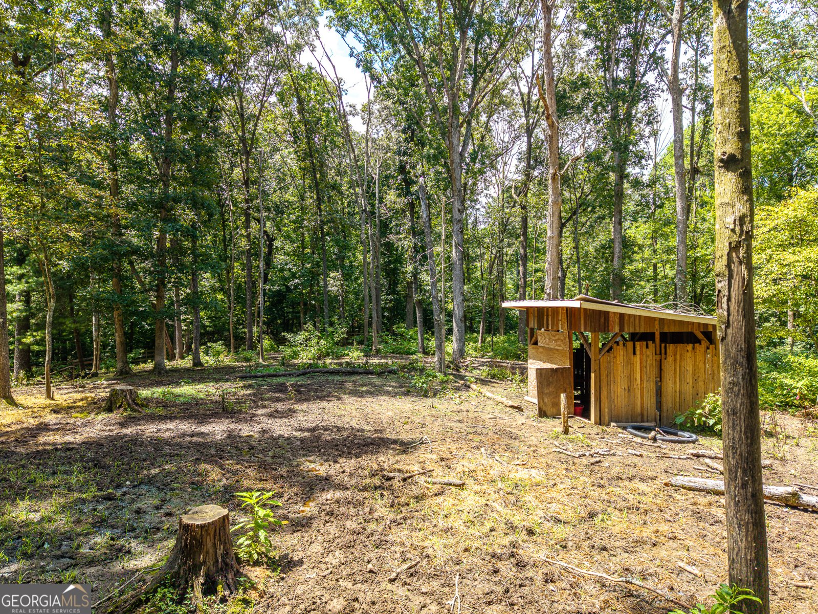 237 Rusty Lady Lane Ellijay - Photo 20