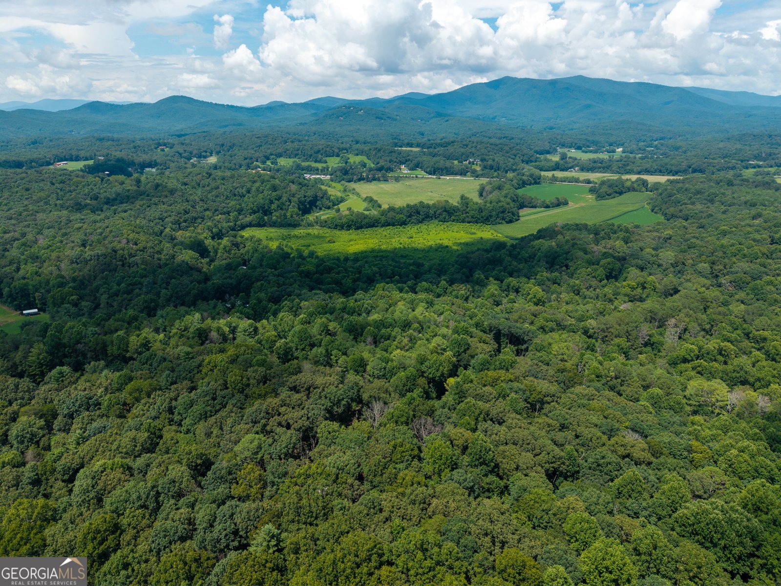 237 Rusty Lady Lane Ellijay - Photo 38