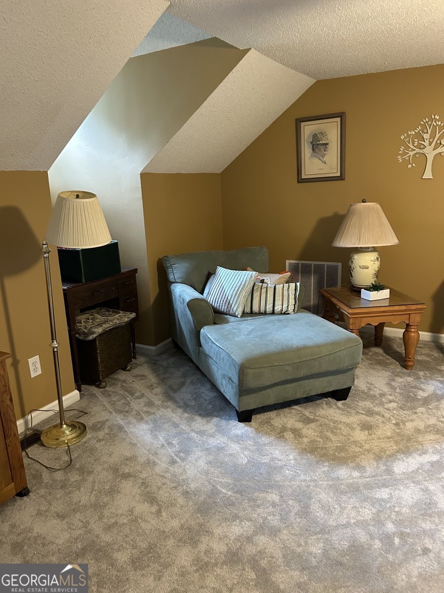 415 Walkers Mill Road Griffin - Photo 16