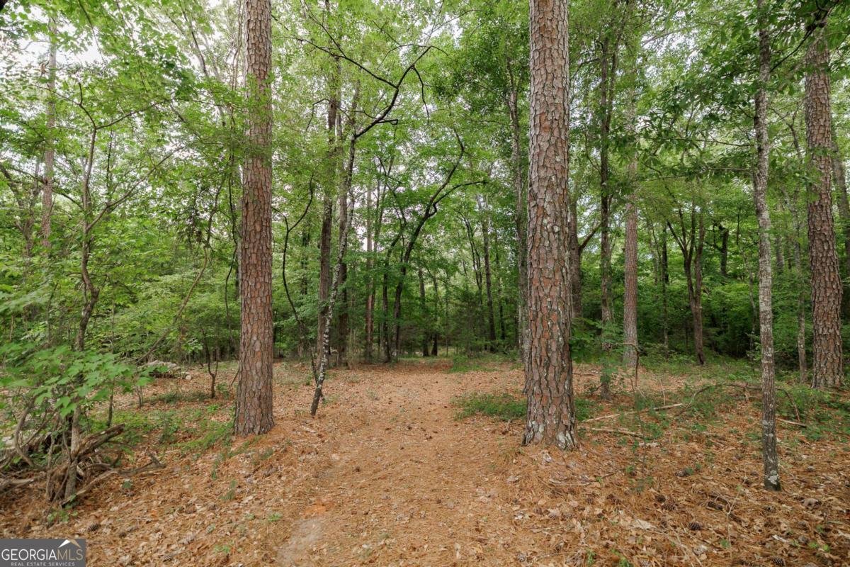 1967 Calhoun Falls Highway Elberton - Photo 52