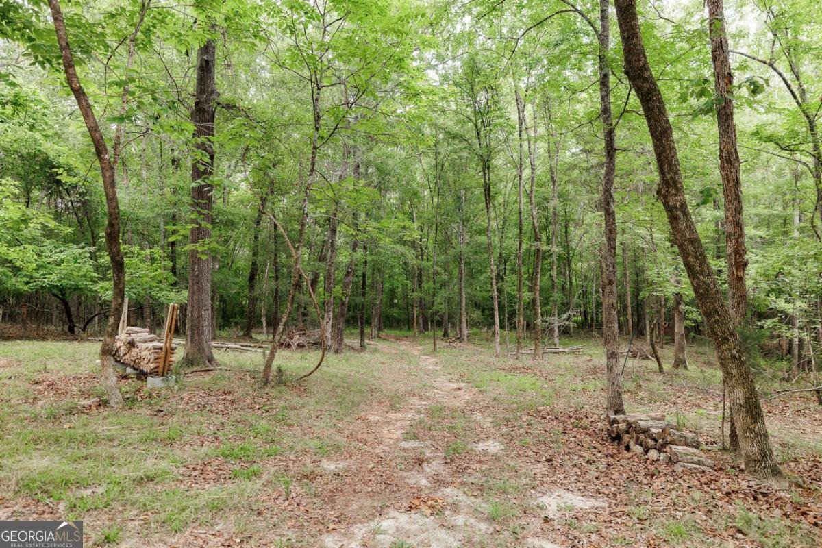 1967 Calhoun Falls Highway Elberton - Photo 54