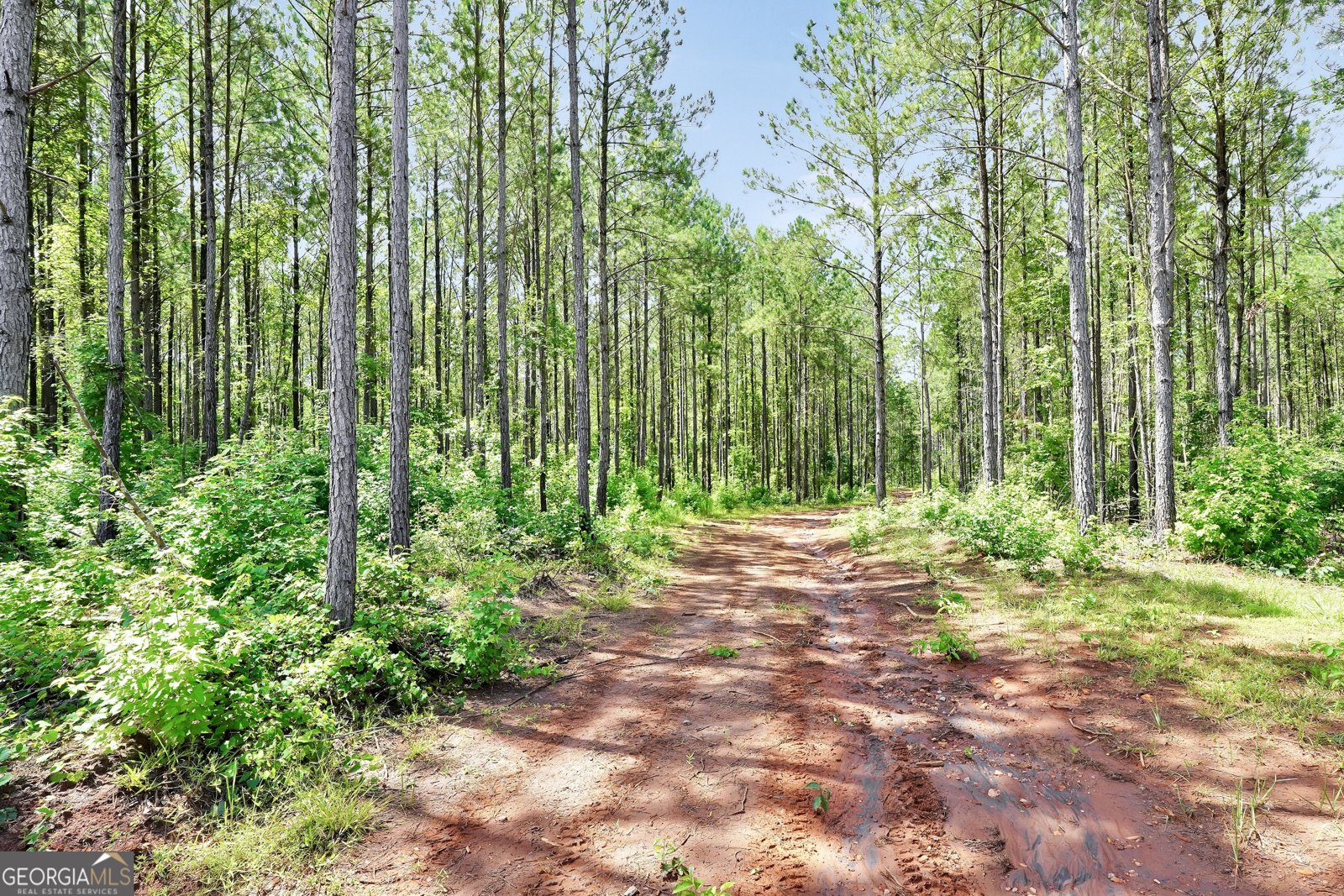 5700 Goolsby Road Monticello - Photo 98