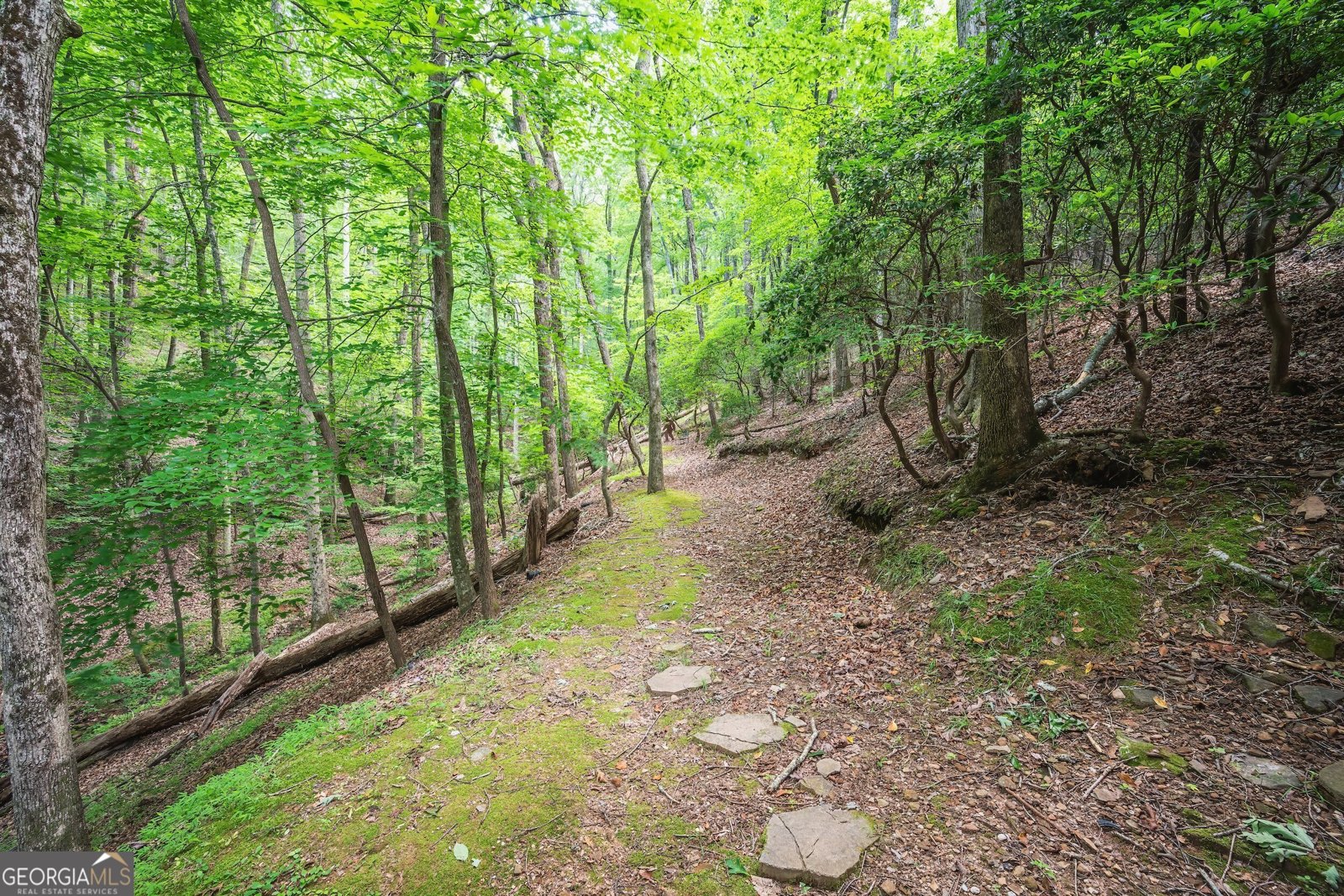 341 Valley View Road Ellijay - Photo 43