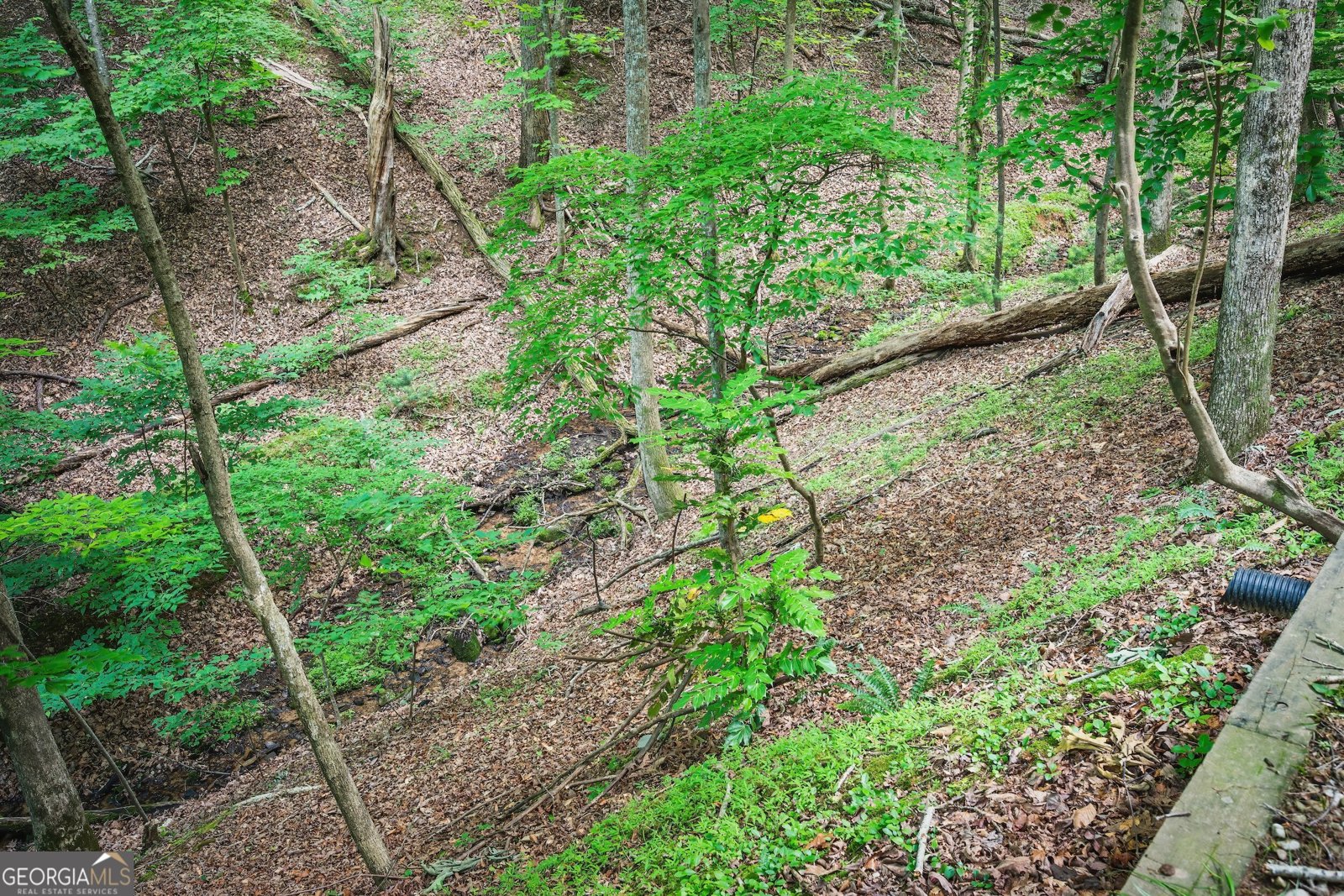 341 Valley View Road Ellijay - Photo 45