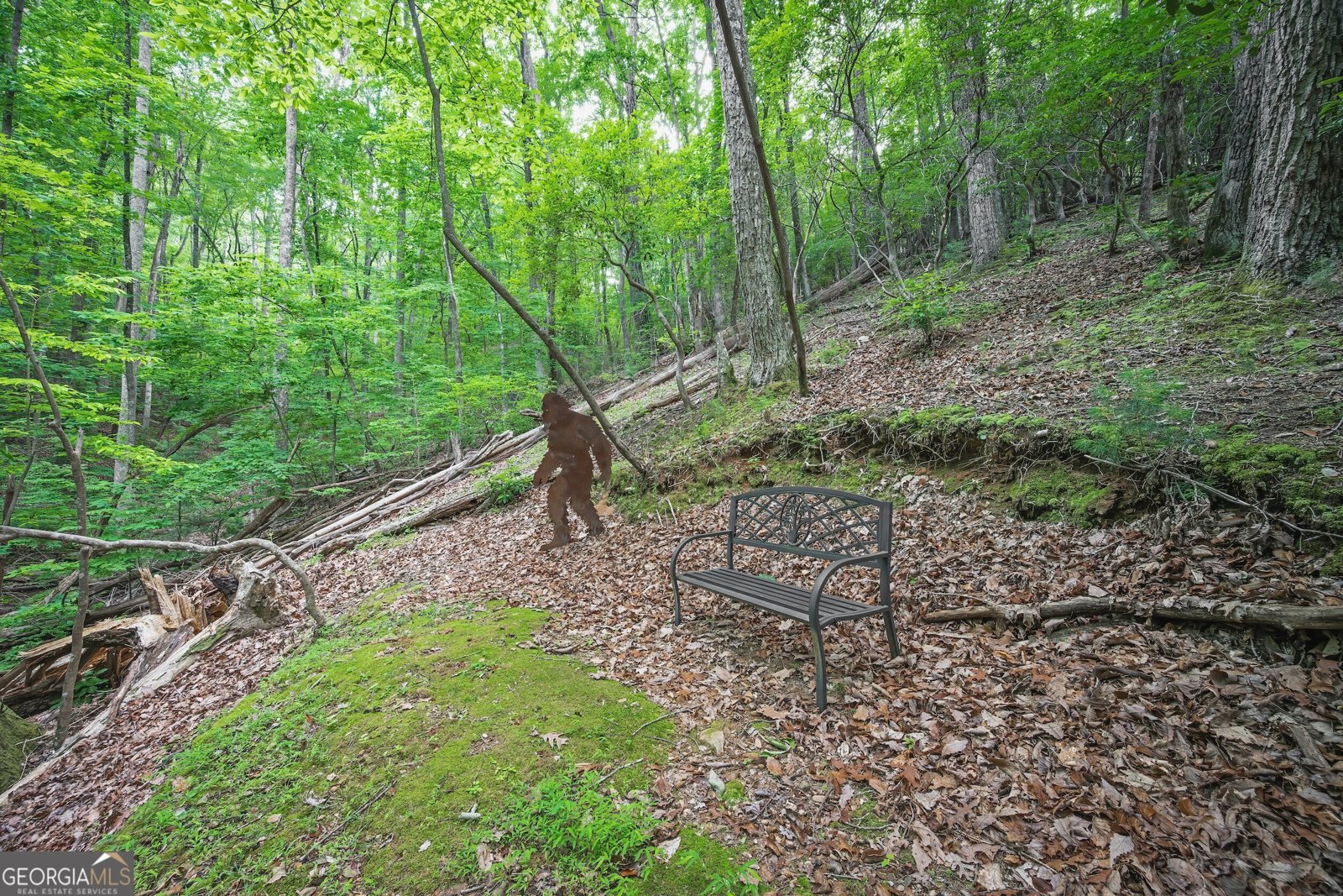 341 Valley View Road Ellijay - Photo 46