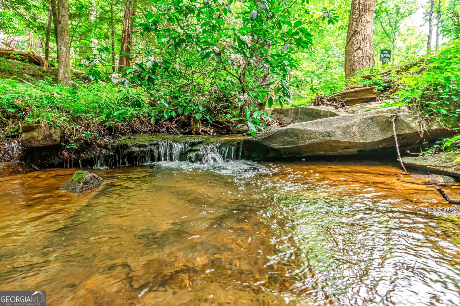 341 Valley View Road Ellijay - Photo 68