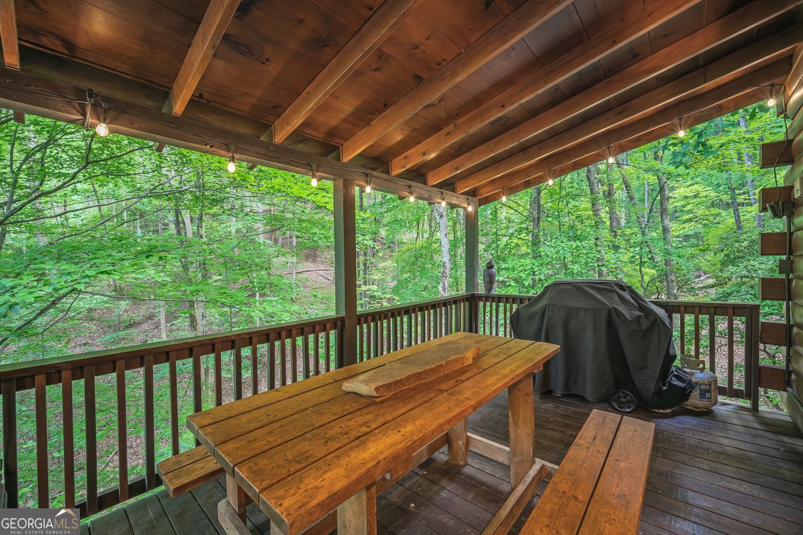 341 Valley View Road Ellijay - Photo 8
