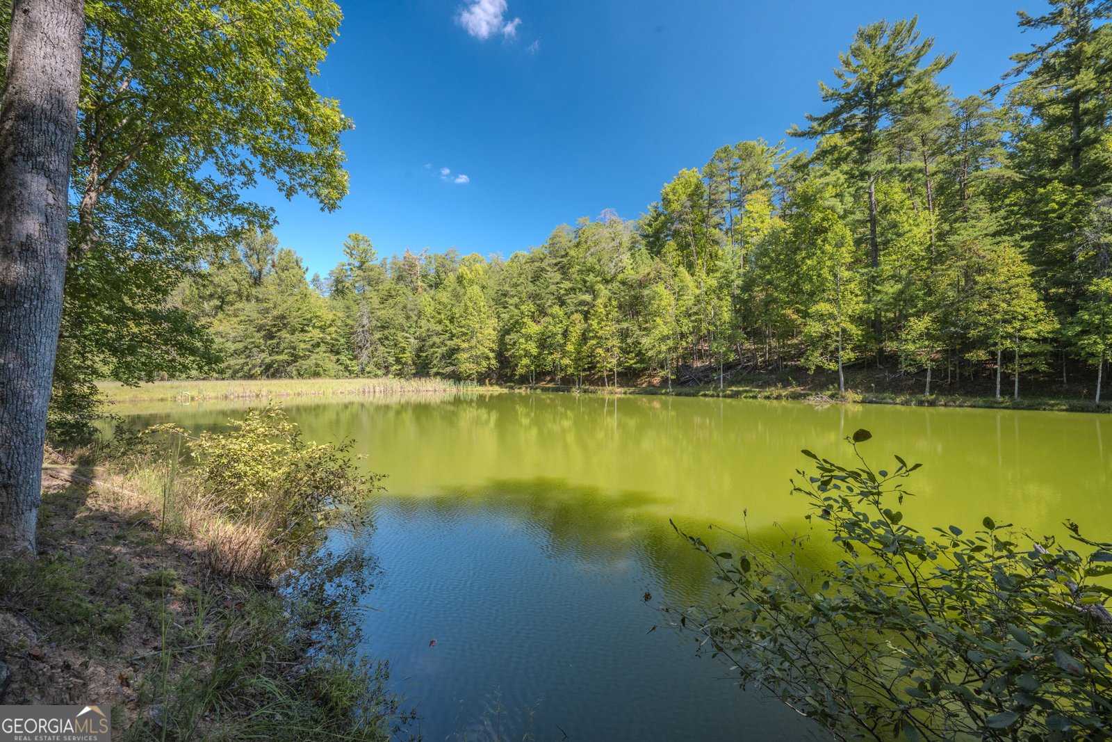 341 Valley View Road Ellijay - Photo 84