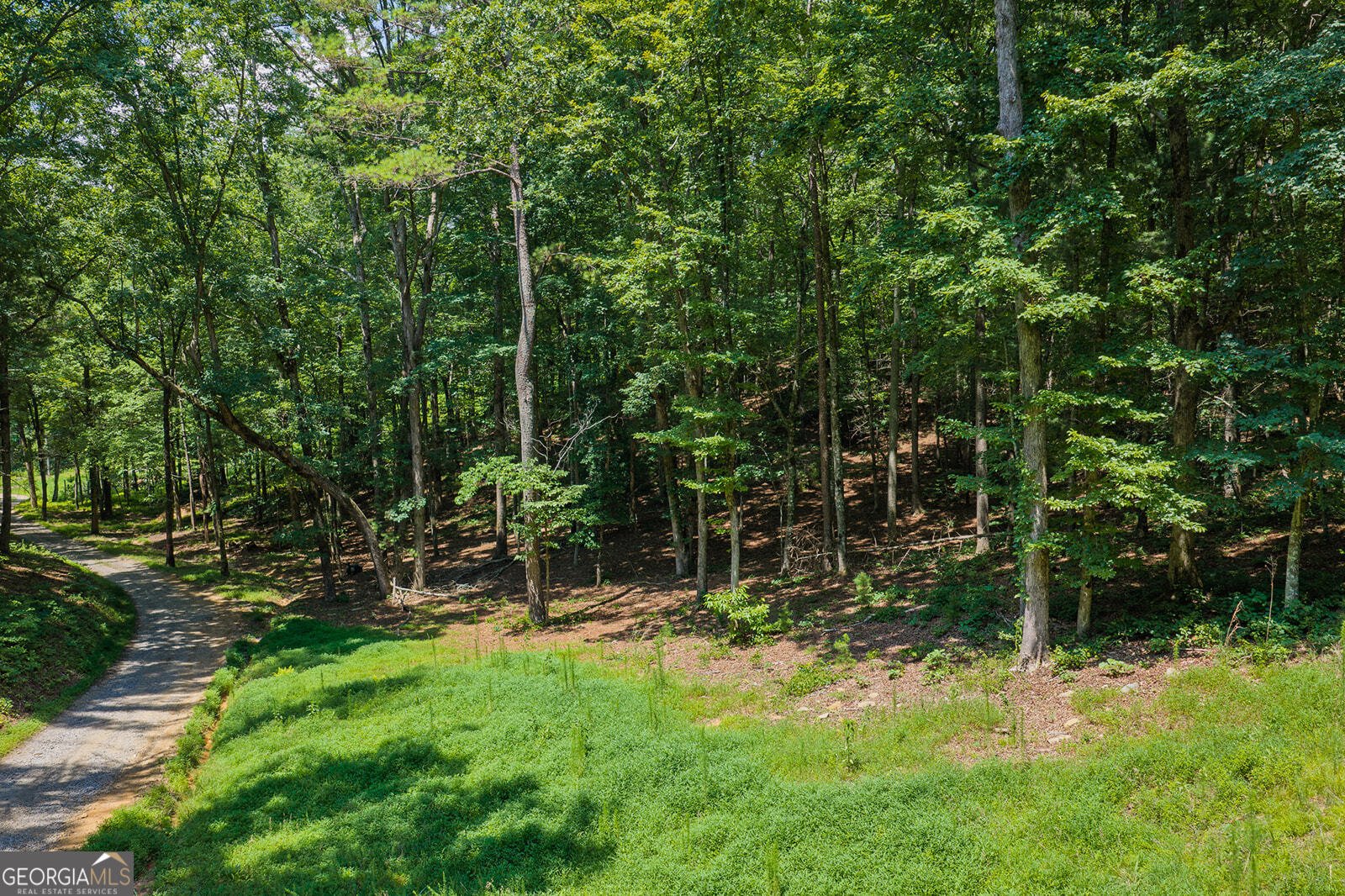 330 Kings Way Ellijay - Photo 15
