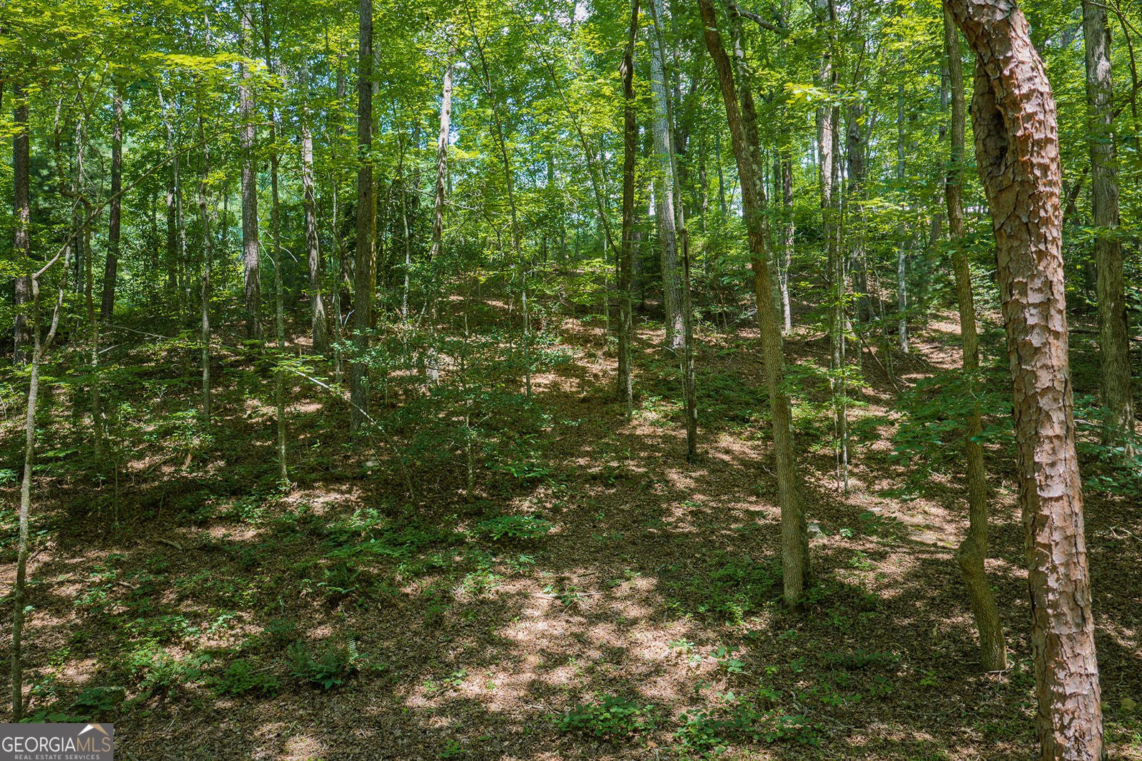 330 Kings Way Ellijay - Photo 16