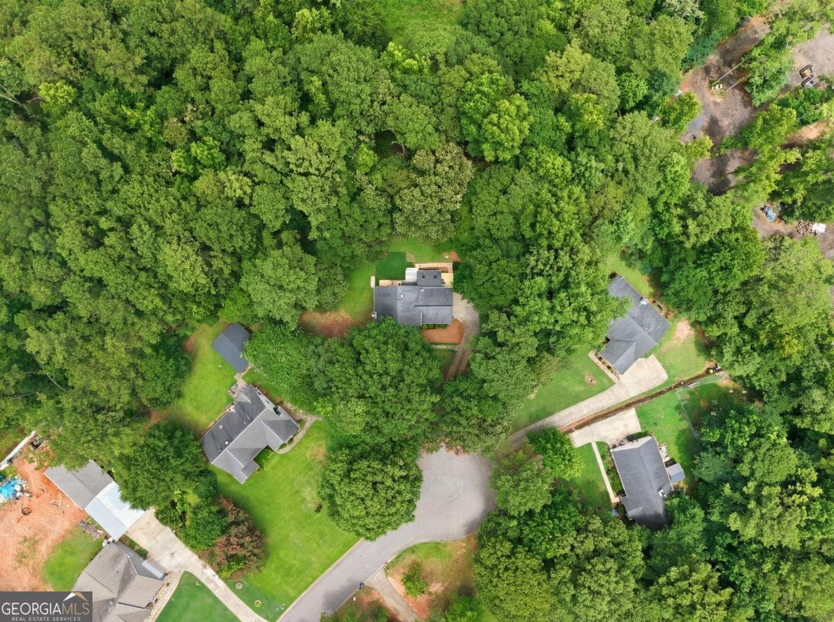 117 Lakeview Lane Stockbridge - Photo 11
