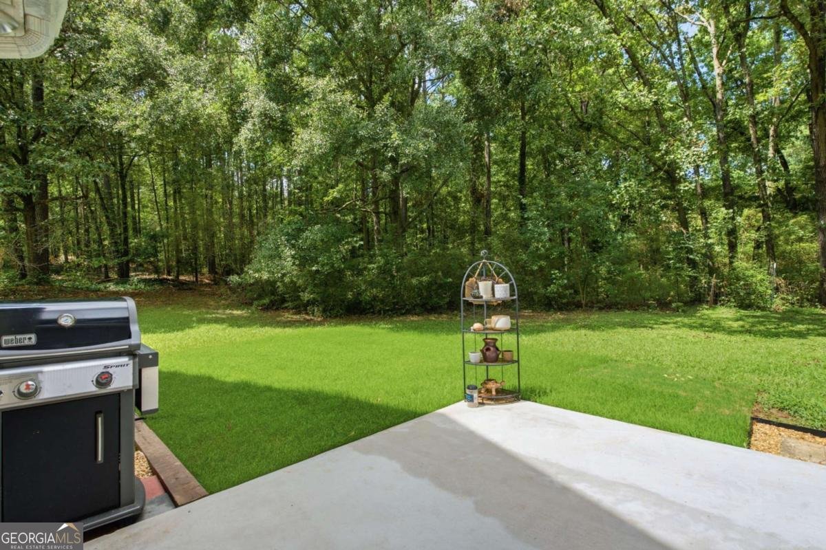117 Lakeview Lane Stockbridge - Photo 37