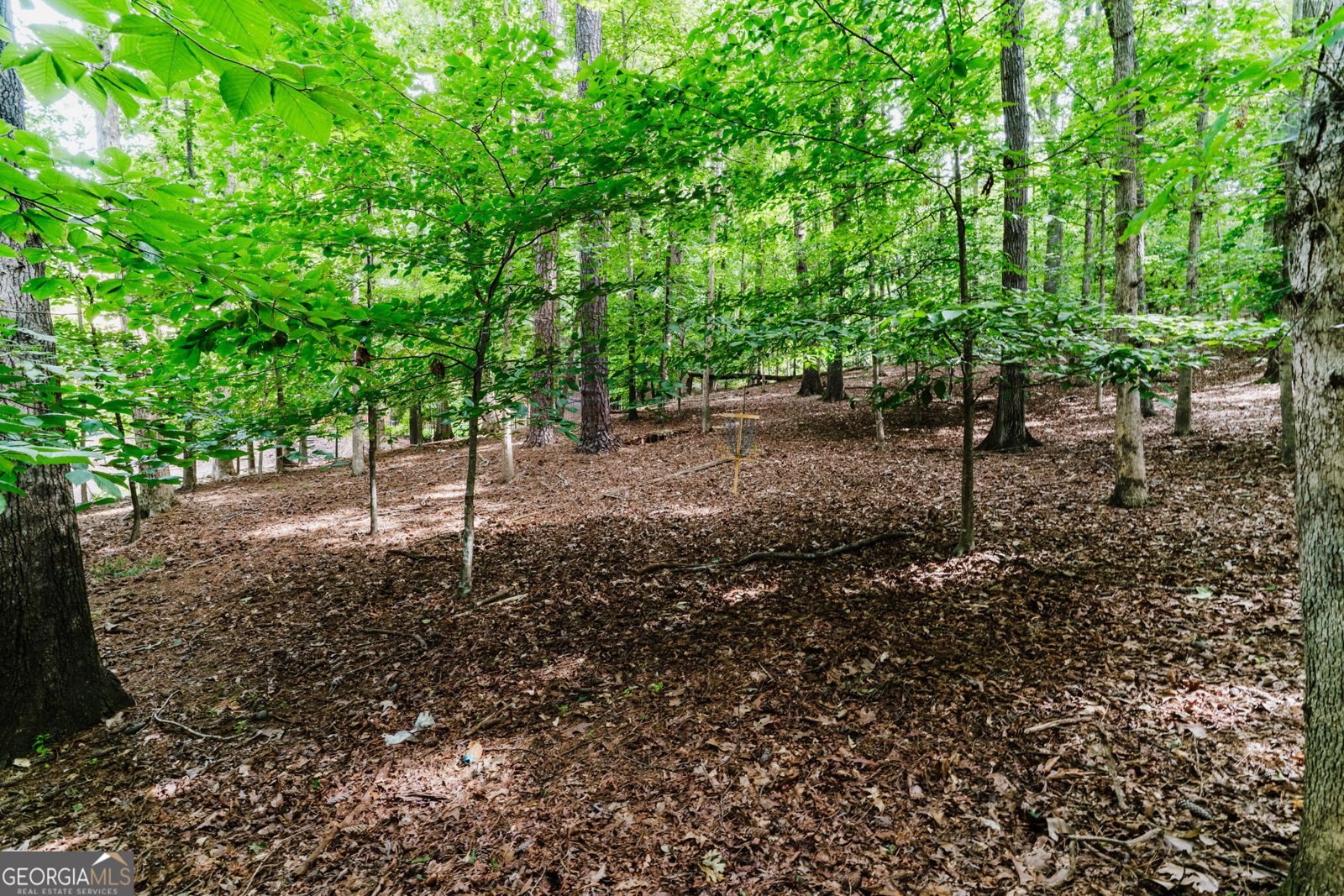 9725 Rod Road Alpharetta - Photo 87