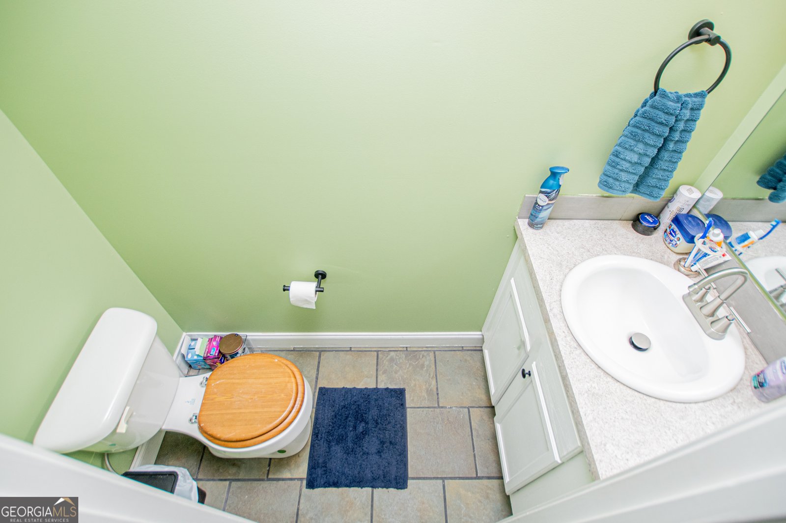 445 Gum Creek Circle Roopville - Photo 32
