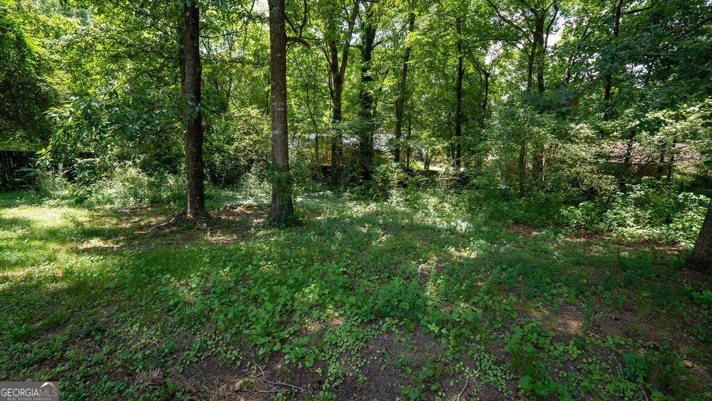 18 Azalea Drive Cartersville - Photo 28