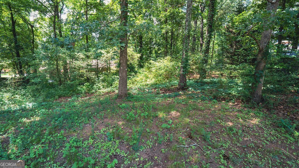 18 Azalea Drive Cartersville - Photo 29