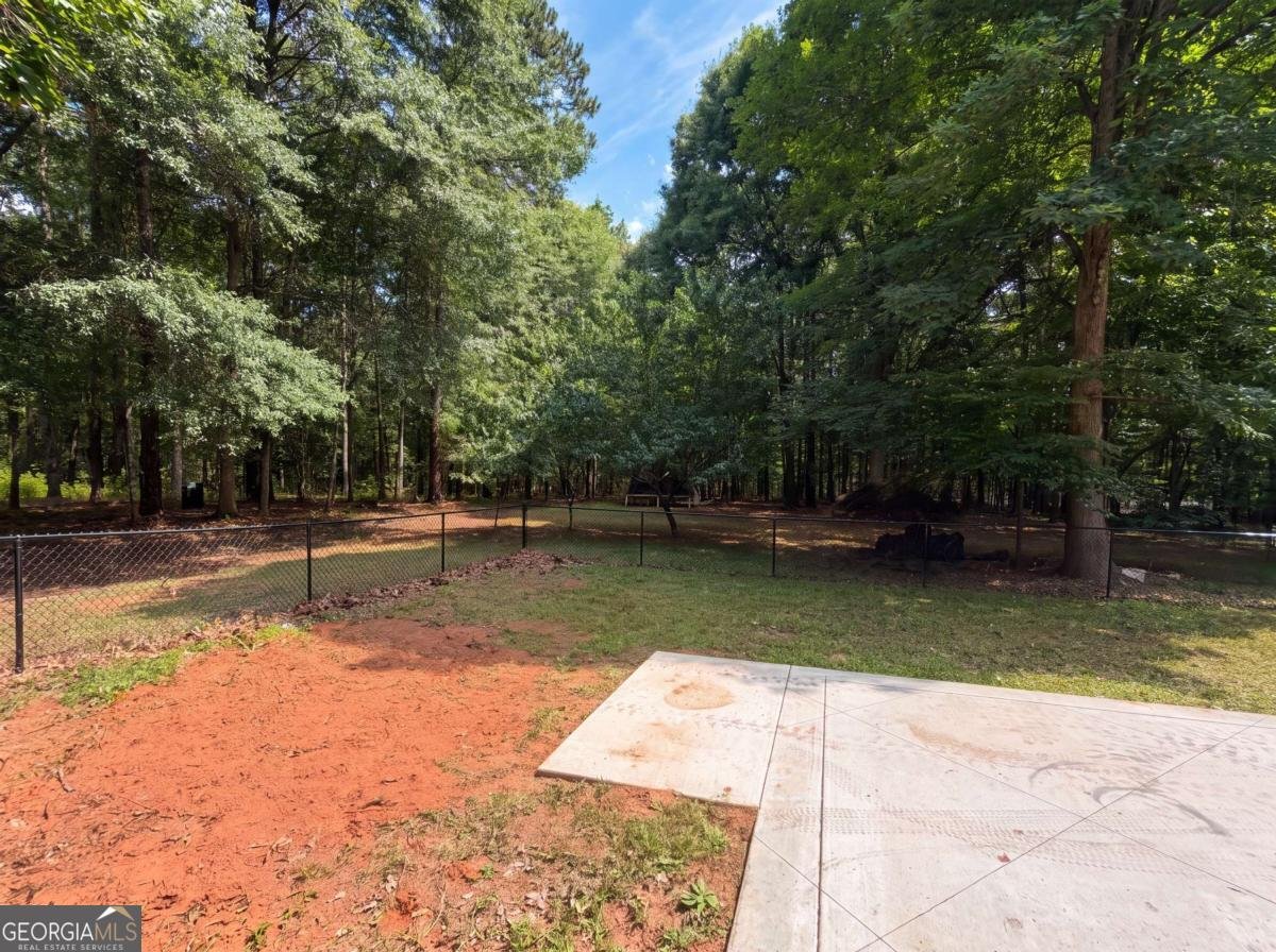 346 Carnation Drive Social Circle - Photo 42