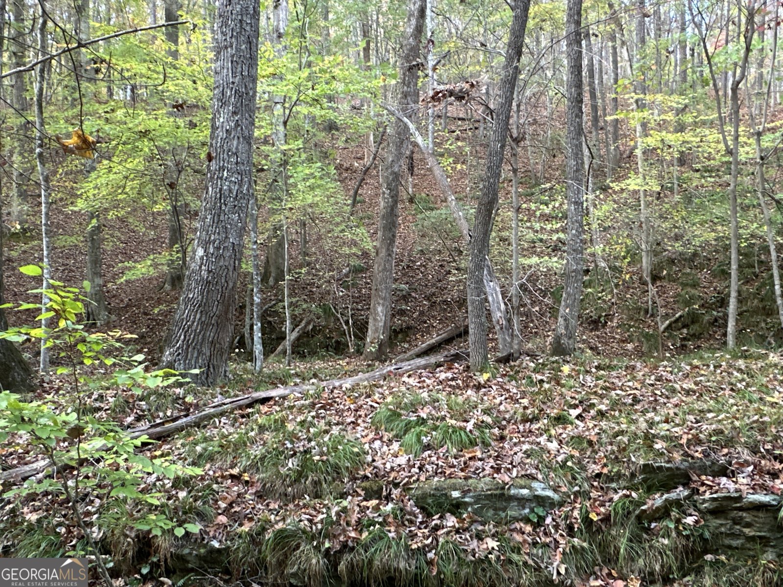 1806 Browning Rd Rockmart - Photo 16